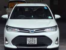 Toyota AXIO WXB 2019 Car