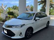 Toyota Axio Wxb 2019 Car