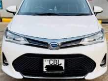 Toyota Axio WXB 2019 Car