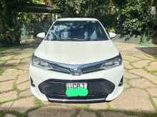 Toyota Axio Wxb 2019 Car