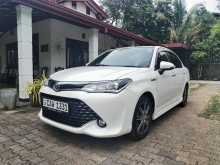 Toyota AXIO WXB 2017 Car