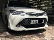 Toyota Axio WXB 2016 Car