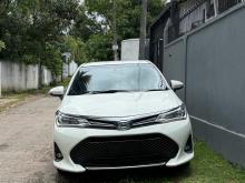 Toyota Axio WXB 2019 Car