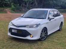 Toyota Axio WXB 2017 Car