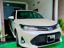 Toyota Axio WXB 2019 Car