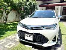 Toyota AXIO WXB 2017 Car
