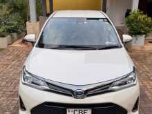 Toyota Axio WXB Ivory 2018 Car