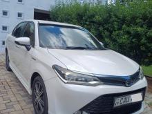 Toyota Axio WXB 2017 Car