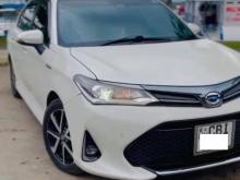 Toyota AXIO WXB 2019 Car