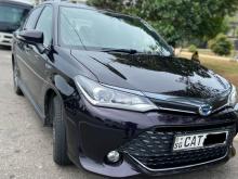 Toyota Axio WXB 2016 Car