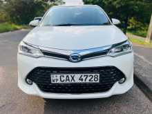 Toyota AXIO WXB 2017 Car