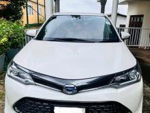 Toyota Axio Wxb 2016 Car
