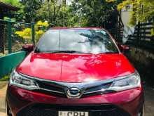 Toyota Axio WXB 2019 Car