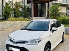 Toyota Axio WxB 2017 Car