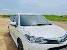 Toyota Axio Wxb 2017 Car