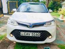 Toyota Axio WXB 2017 Car