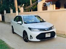 Toyota Axio WxB Ivory 2019 Car