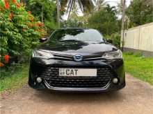 Toyota AXIO WXB Limited Edition 2016 Car