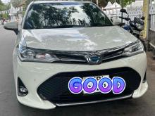 Toyota Axio WxB 2019 Car