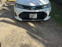Toyota Axio WXB 2018 Car