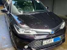 Toyota Axio WXB 2017 Car