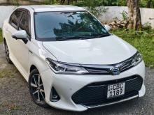 Toyota Axio WXB 2018 Car