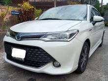 Toyota AXIO WXB 2017 Car