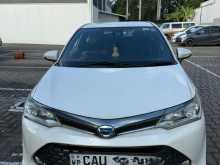 Toyota Axio WXB 2017 Car