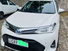 Toyota Axio Wxb 2017 Car
