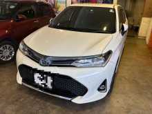 Toyota Axio Wxb 2019 Car