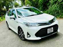 Toyota Axio WXB Limited 2018 Car