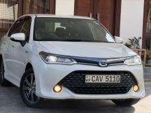 Toyota AXIO WXB 2017 Car