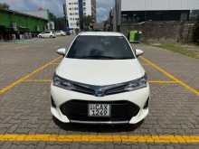 Toyota Axio WxB 2017 Car