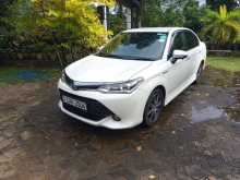 Toyota Axio WXB 2016 Car