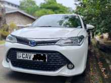 Toyota Axio WXB 2017 Car