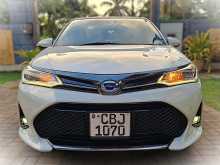 Toyota Axio WXB 2019 Car