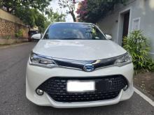 Toyota Axio WXB 2017 Car