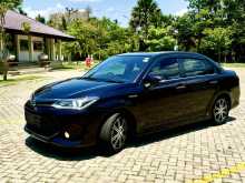 Toyota Axio Wxb 2017 Car