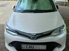 Toyota Axio Wxb 2017 Car