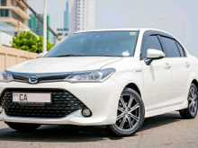 Toyota AXIO WXB 2017 Car