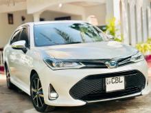 Toyota Axio Wxb 2020 Car