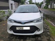 Toyota Axio WXB 2016 Car