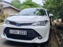Toyota Axio WXB 2017 Car