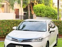 Toyota Axio Wxb 2019 Car