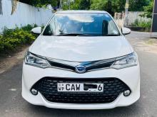Toyota Axio WXB 2017 Car