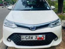 Toyota AXIO WXB 2017 Car
