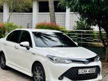 Toyota Axio WXB 2017 Car