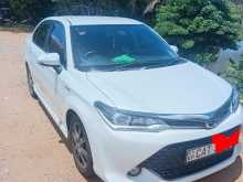 Toyota Axio Wxb 2016 Car