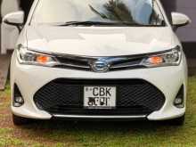 Toyota Axio 2018 Car