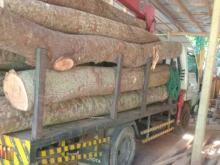 Toyota Boom 14 5 1995 Lorry